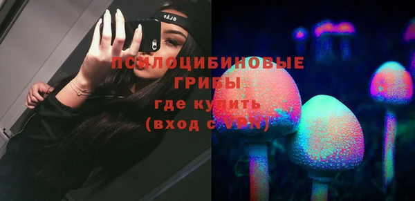 кокс Белокуриха