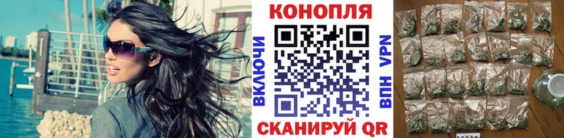 Шишки марихуана план где купить Реутов